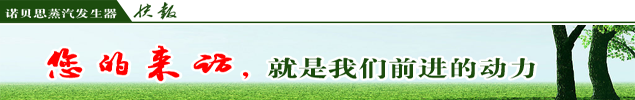 混凝土養(yǎng)護蒸汽發(fā)生器