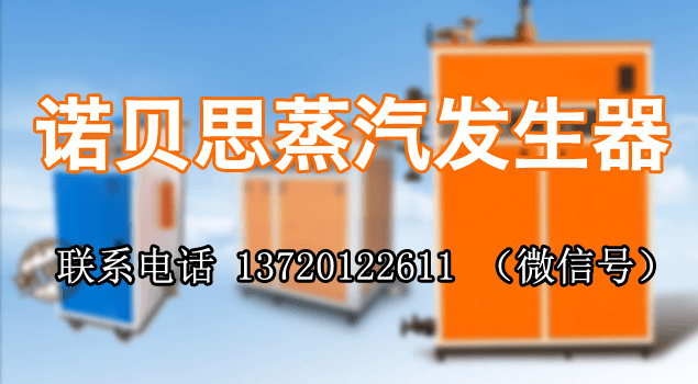 武鋼集團(tuán)購(gòu)諾貝思蒸汽發(fā)生器用于食堂蒸飯保溫