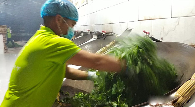 電氣化制茶成主流，蒸汽發(fā)生器讓制茶無(wú)煙化，實(shí)現(xiàn)零排放的環(huán)保目標(biāo)